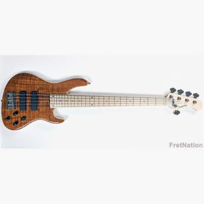 Sadowsky Masterbuilt CS Modern Natural High-Polish 5-String Electric Bass 5A Flamed Koa Top 7.8 lbs! image 3
