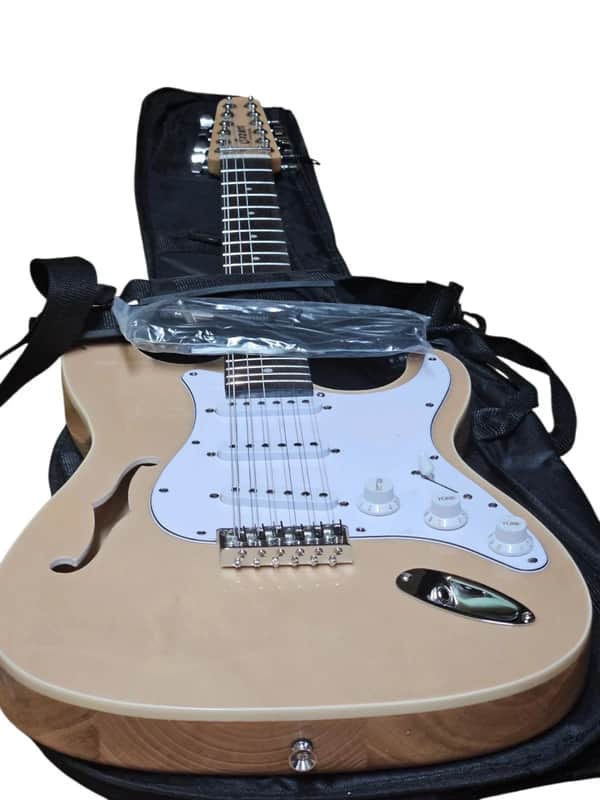 GUITAR BANKRUPTCY SALE ON NEW 12 STRING SEMI-HOLLOW STRAT STYLE ELECTRIC GUITARS image 1