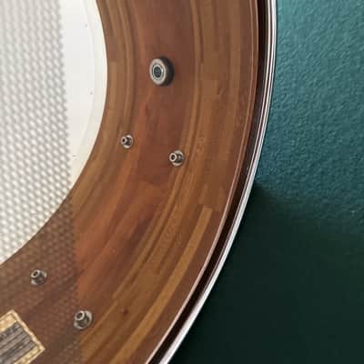Evolution Drums  Bamboo/Applewood  Segmented snare drum 2009 - Bamboo/ Applewood Bild 8