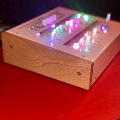 Rare Retrogradus Chorus 1a - Custom One of a Kind image 8