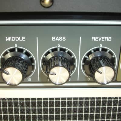 Roland JC-22 Jazz Chorus 30-Watt 2x6.5" Stereo Guitar Combo Amp image 6