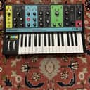 Moog Grandmother 32-Key Semi-Modular Analog Synthesizer 2018 - Present - Black / Multi-Colored Panel