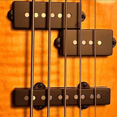 Sire Marcus Miller P10dx w/Major Upgrades 5-String Bass Roasted Flame Maple Fretboard, Natural 2023 - NT (Natural), TS (Tobacco Sunburst) image 22