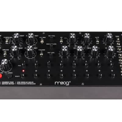 Moog DFAM (Drummer From Another Mother) image 1