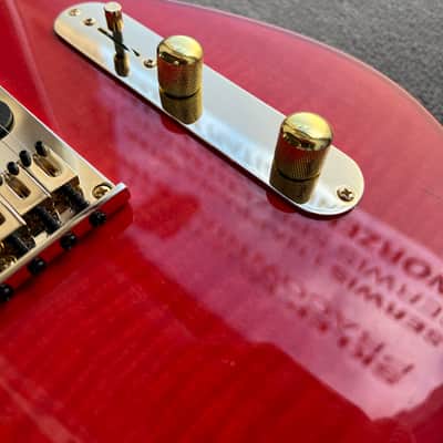 Electric guitar MihaDo GS T-Style image 3