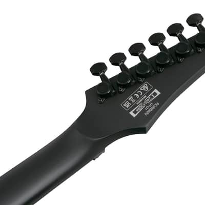 Ibanez RG Iron Label 6 String Electric Guitar - Black (RGRB620BKF) image 3