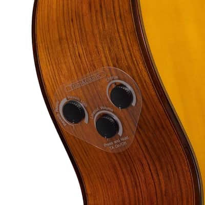 Yamaha Transacoustic Nylon String Cg Guitar image 9