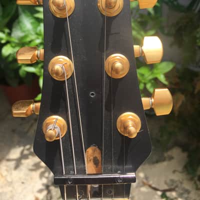 Rare signed Spector Blackhawk SSD guitar image 8