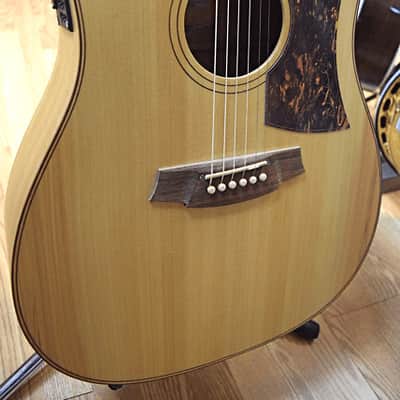 Cole Clark FL2AC Bunya / Queensland Maple NEW w/case image 2
