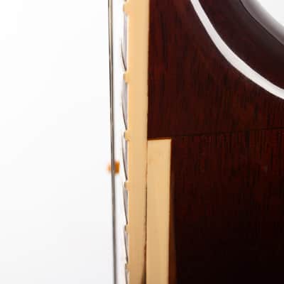 Gibson Slash Les Paul Standard, November Burst | Demo image 14