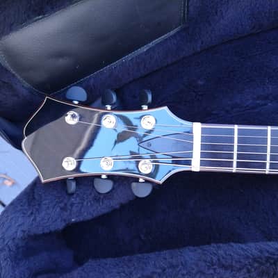Mr Wu  Custom Jazz Guitar, Yunzi/Eastman image 9