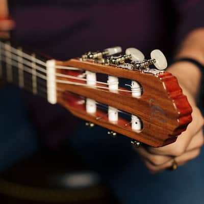 Ortega R200SN Traditional Series Cedar Top Mahogany Neck Nylon 6-String Classical Acoustic Guitar w/Gig Bag image 17