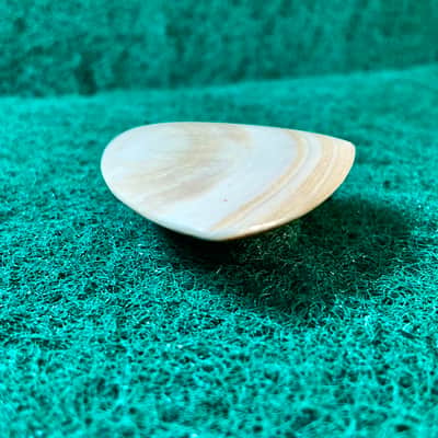 Seashell guitar pick-5.2mm, asymmetrical profile… by BeachSidePicks image 4