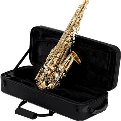 Antigua Vosi Eb Alto Sax All Lacquer Outfit With Case image 1