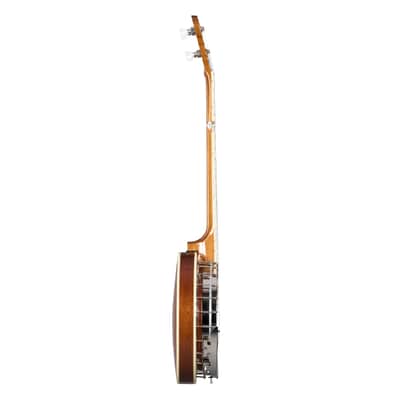 Epiphone Mastertone Classic Banjo Natural - Banjo image 3