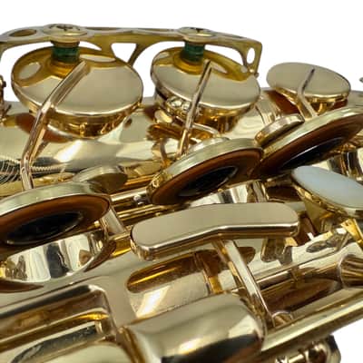 Selmer Super Action 80 Series II Alto Saxophone FRESH SETUP image 8