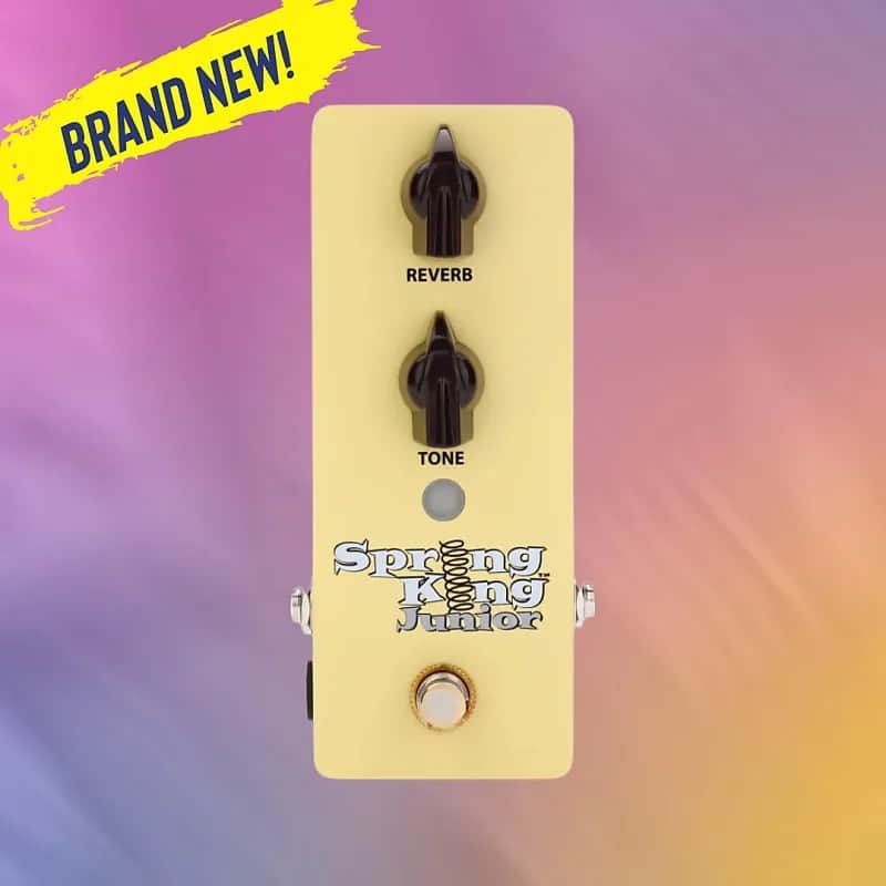 Danelectro Spring King Junior - BRAND NEW! image 1