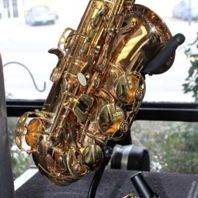 Selmer La Voix Alto Sax w/Original Case & 2 Mthpcs; Dukoff & Otto Link image 4