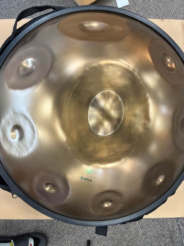 Sela Unity Stainless Handpan D Amara SE305 imagen 1