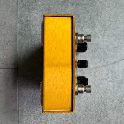 Meris Enzo Guitar Synthesizer Pedal 2018 - Gold image 5