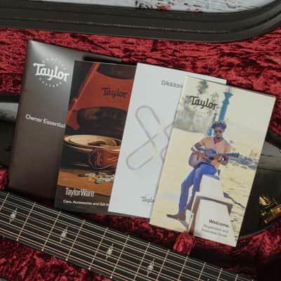 Taylor - (2025) 354ce - 12 String Acoustic-Electric Guitar -Sapele/Sitka - V-Class Bracing - Natural - w/ Hardshell Case - x75045 image 10