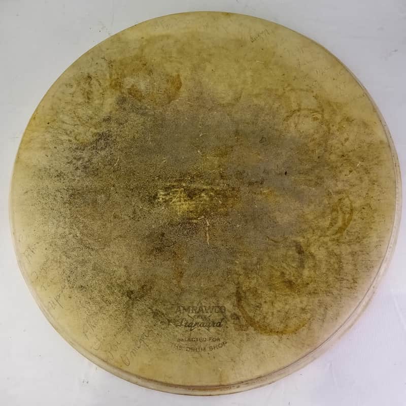 *Amrawco 14"Standard"Batter Calf Skin Snare/Tom Head Vintage 40s "The Drum Shop" image 1