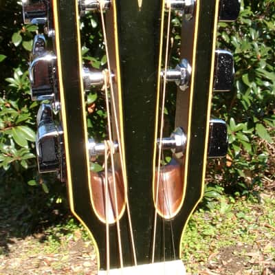 1975 Yairi YW-800G Japan Vintage Grammer Guitar Style + Original SKB Case image 6