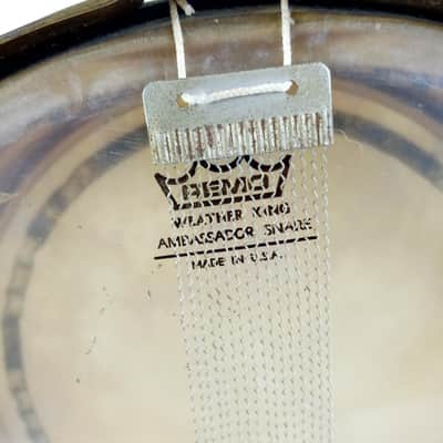 Leedy 6x14" Colonial Gold Snare Drum+Speedway Throw Nobby Full Dress Vintage 20s image 9