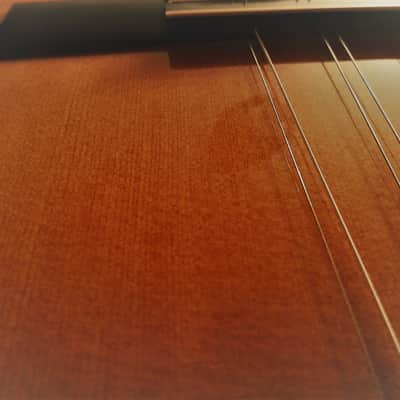 Prudencio Saez CUBAN TRES 2020 Indian Rosewood image 16
