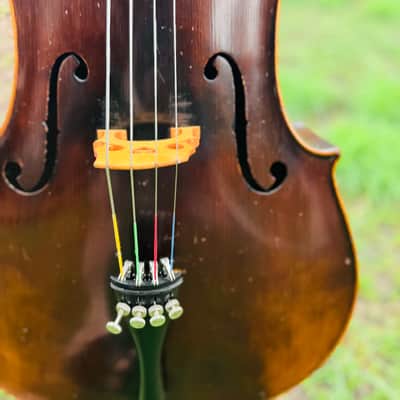 Immagine Giuseppe Petrazzini Cello 1890's Italian Labeled - 14
