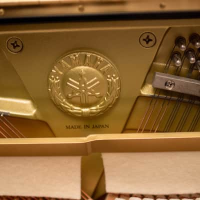 Yamaha U1 Upright Piano 2007 image 8