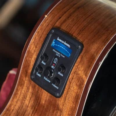 Washburn Bella Tono Vite S9V Acoustic-Electric Guitar Bild 2