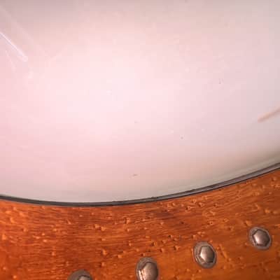 1920'S May Bell / Slingerland 19 Fret Tenor Banjo "RESTOMOD" W/ Orig Hard Case image 4