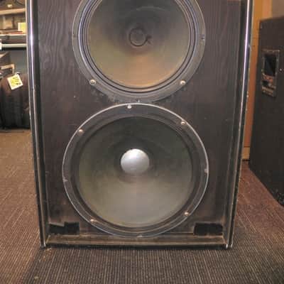 Traynor YT-15 2-Way Bass Cabinet  Black Tolex image 1