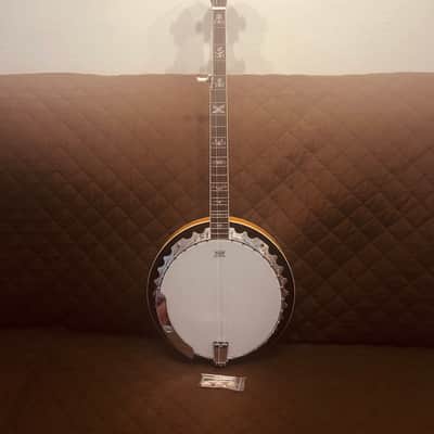 Washburn B10 Americana Series Remo Top Wood Mahogany Neck 5-String Banjo w/Mahogany Resonator image 1