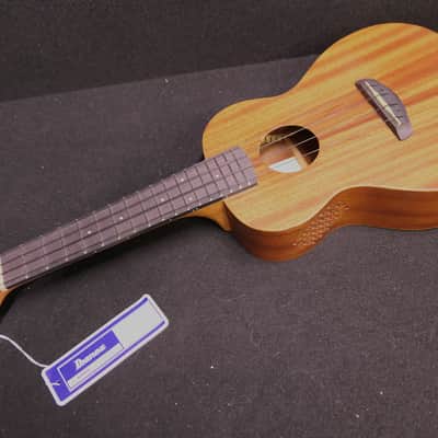 Ibanez UKC100-OPN Concert Ukulele 2022 - Present - Open Pore Natural & GIG BAG image 2