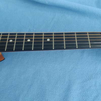 all original 1892 Washburn Parlor Adirondack Top Brazilian rosewood image 9