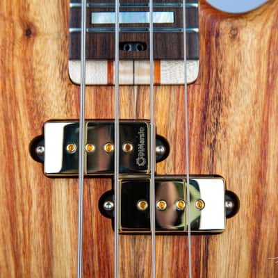 Solano Speed Shop 2025 969B-Coupe Single Cut Bass image 3
