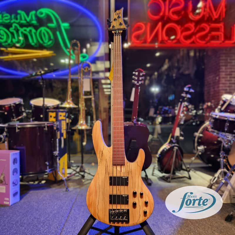 ESP LTD B-204SM Fretless image 1