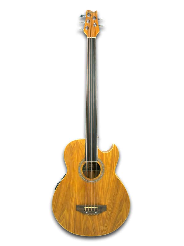 Fretless 5 String Acoustic Electric Bass image 1