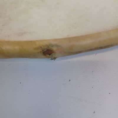 Leedy 16" 20s Calf Skin Floor Tom Drum Batter/Resonant Head USA Marching Snare image 3