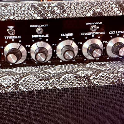 SL Amplification New Drive Reverb 50 Watts Combo 1x12” Custom Order (Tube Buffered fx loop) - Snake Skin Custom Tolex image 19