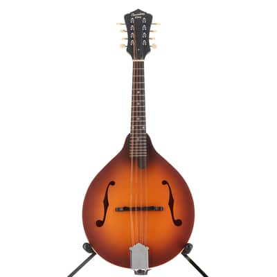 Recording King Dirty 30s A-Style Mandolin (M3)(60101) (60101) image 5