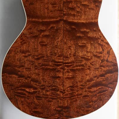 Taylor GSce-FLTD Fall Limited Edition 2012 image 4