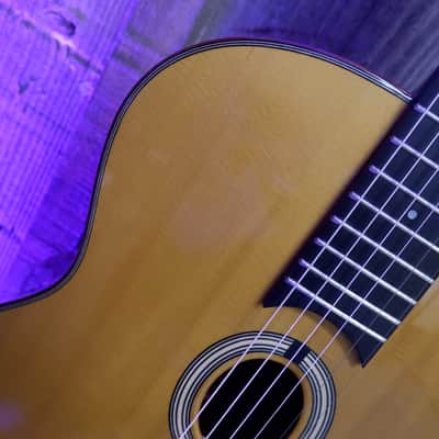 DuPont MD50 Gypsy Jazz Petite Bouche 2014 image 10