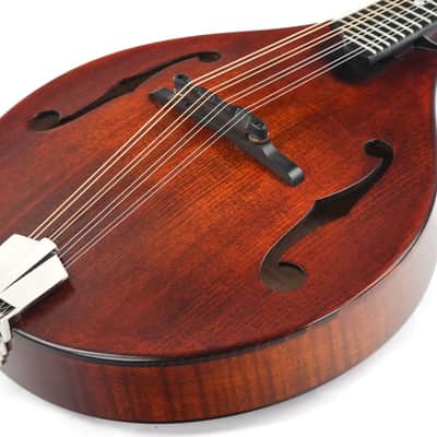 Eastman MD505CC/TV A Style Mandolin B-Stock image 14