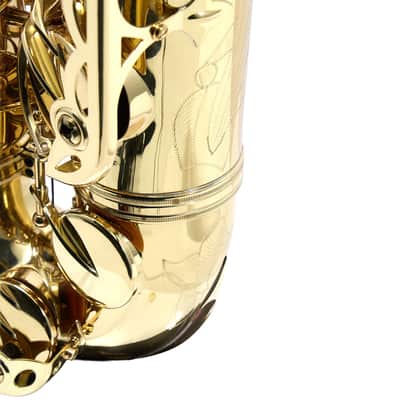 Antigua Winds Model TS4248LQ 'Powerbell' Tenor Saxophone in Lacquer SN MST10000 image 19