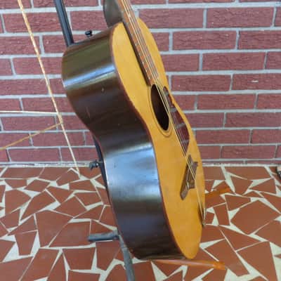 1960's Jackson Guldan Cittern - 10 Strings in B Tuning - Fifths Tuning image 10