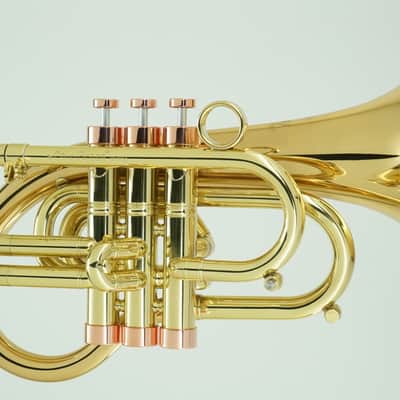 CarolBrass Phat Puppy Pocket Flugelhorn image 4