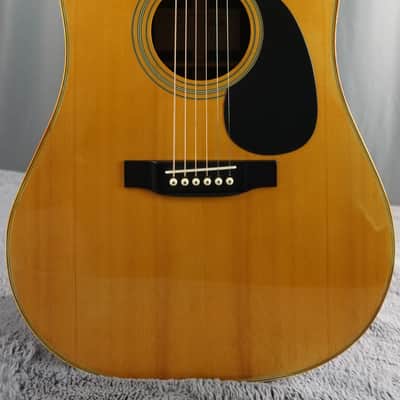 Cat’s Eyes CE-250 MIJ Dreadnought Acoustic Guitar w/ Hard Case image 1